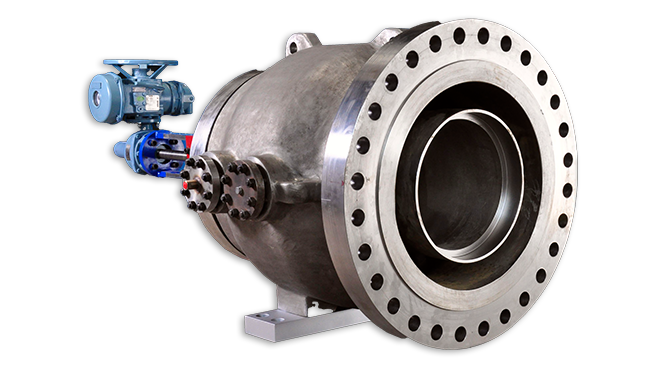 Customised Speciality Valves