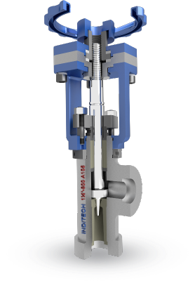Blowdown Valves